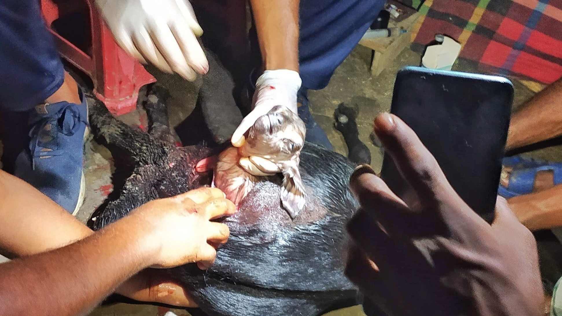 475703827_122216659496151920_927363187219991077_n (1)