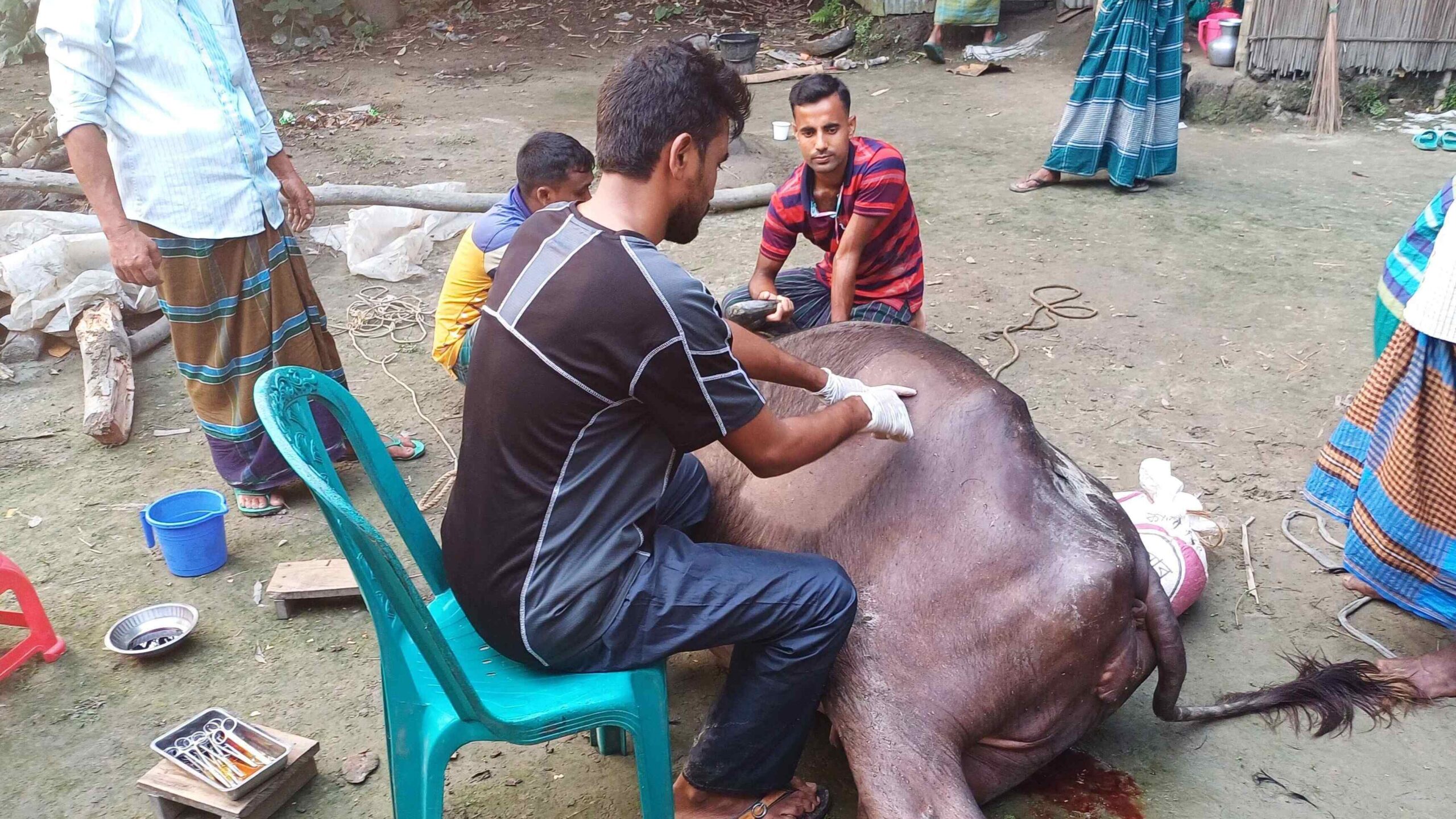 C section in Bufallo 1.jpeg