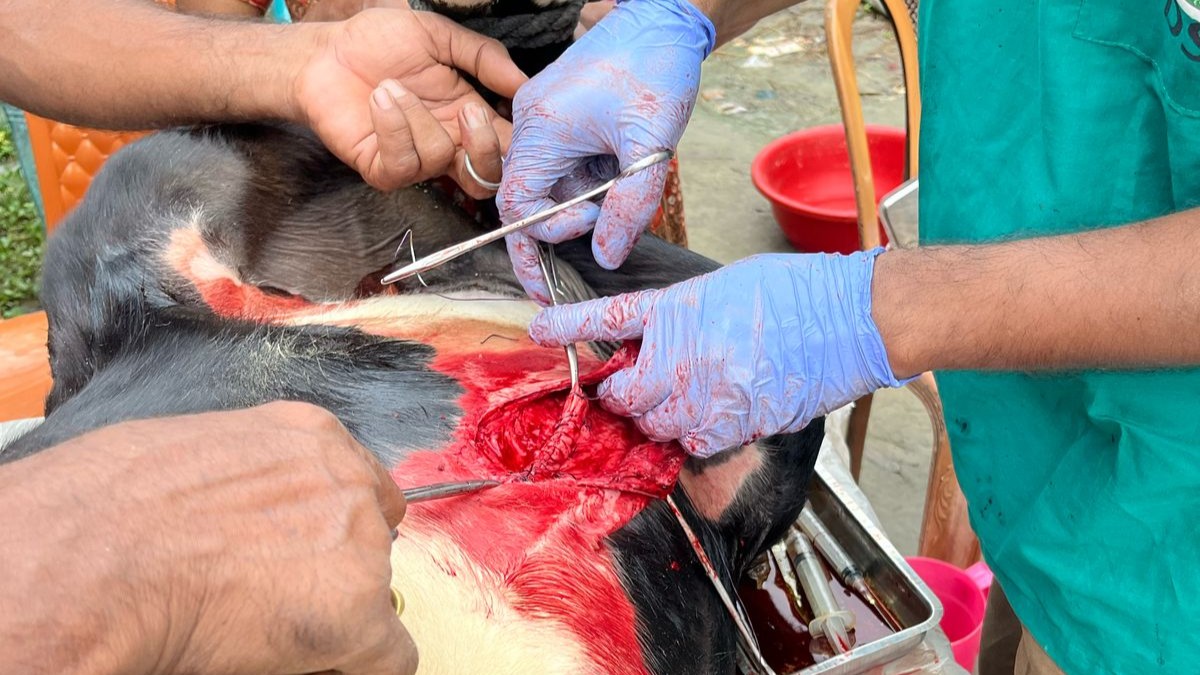 WhatsApp Image 2025-08-06 at 22.25.28_e478b672